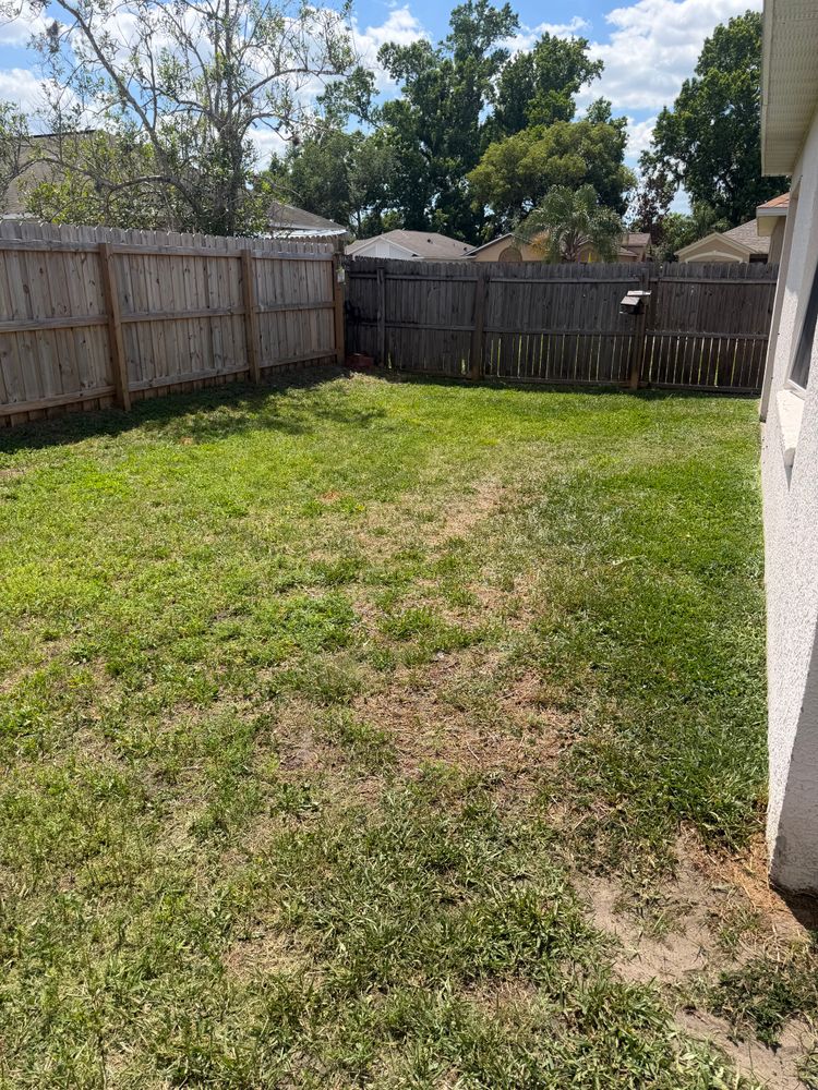 All Photos for The Yardman in Tampa, FL