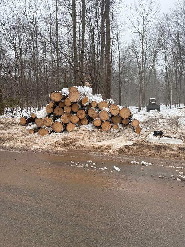 Timber Sales for Lovenguth Logging and Tree Service in West Monroe, NY