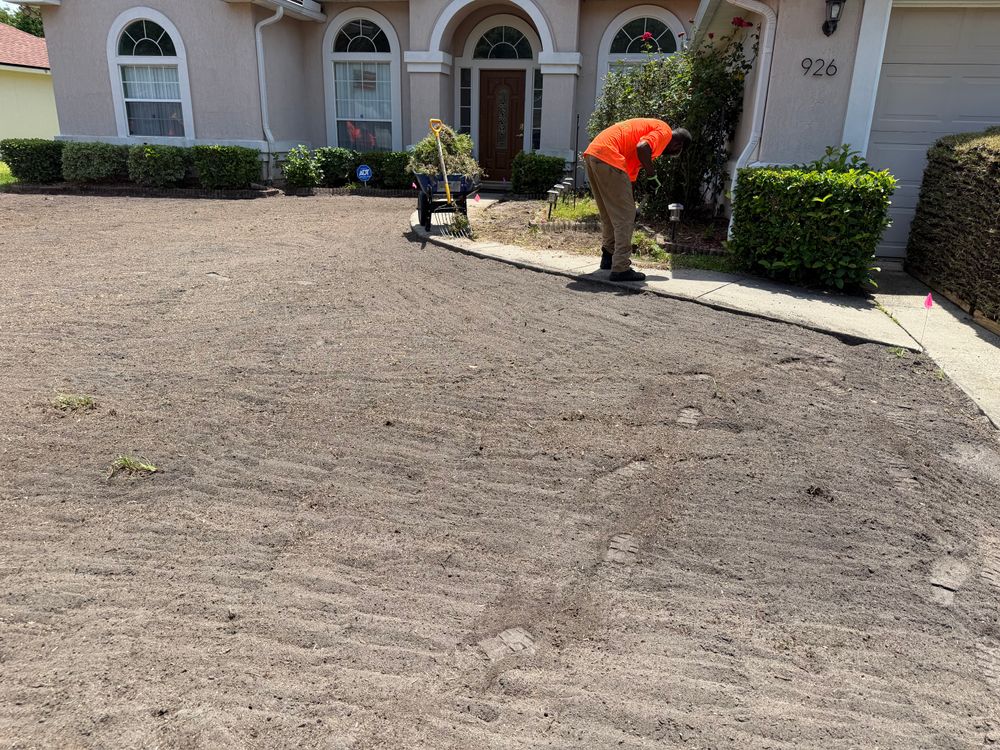 All Photos for All of the Above Landscaping in Orange Park, FL