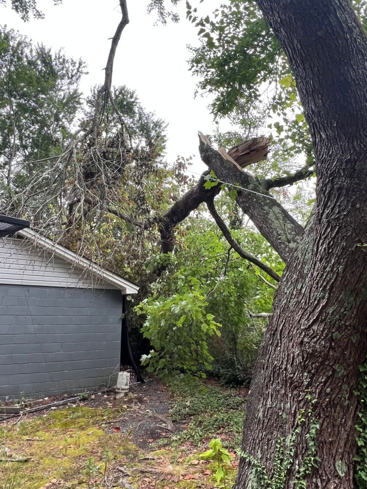 All Photos for Brooks Tree Service in Casar, NC