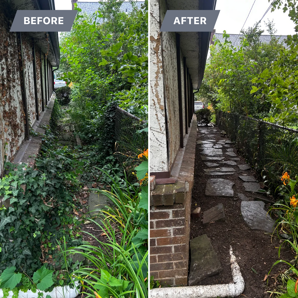 Before/After  for Leaps Landscaping LLC in Buffalo, NY