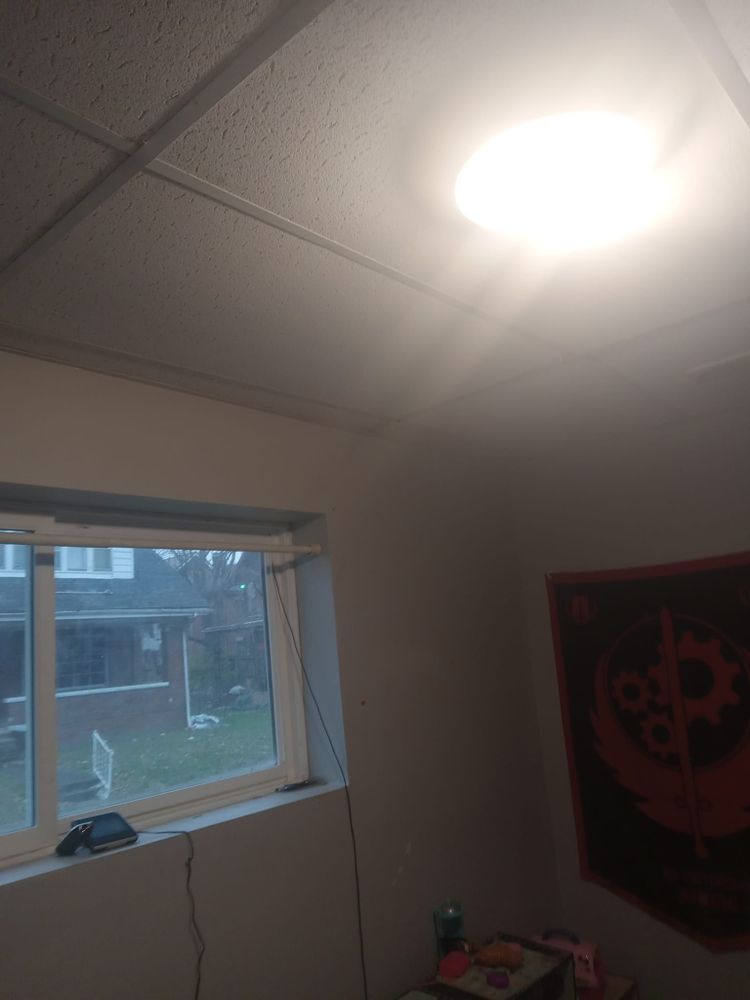 Fall and Spring Clean Up for Hayes Tree And HandyMan Services LLC in , 