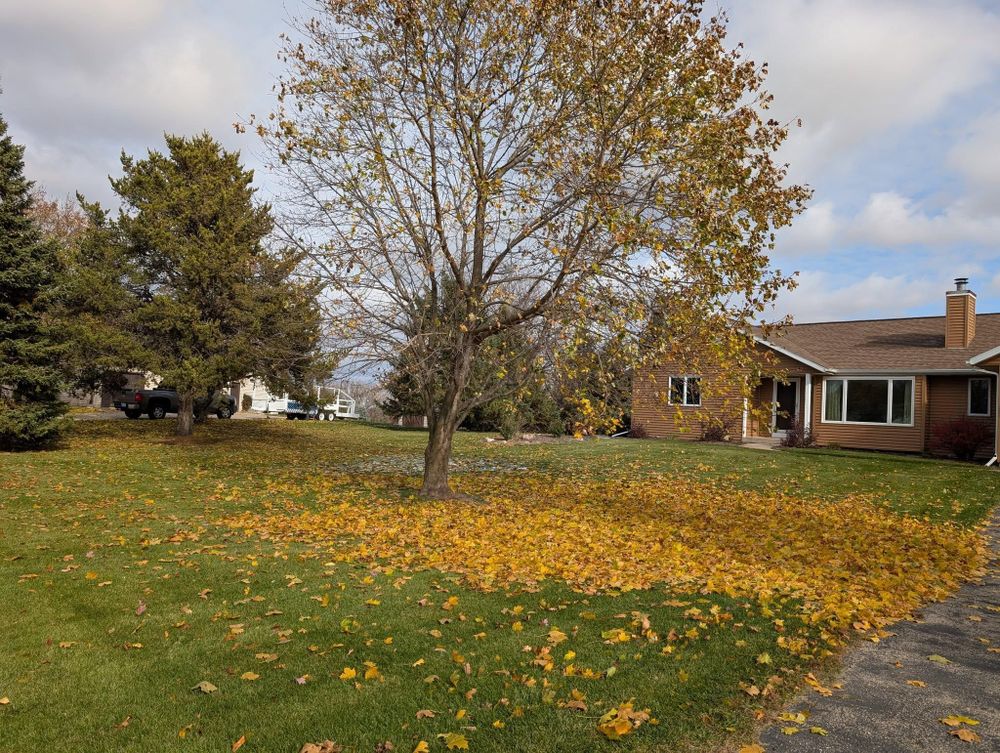 All Photos for TCB Lawn Care & Snow Removal in Sun Prairie, WI