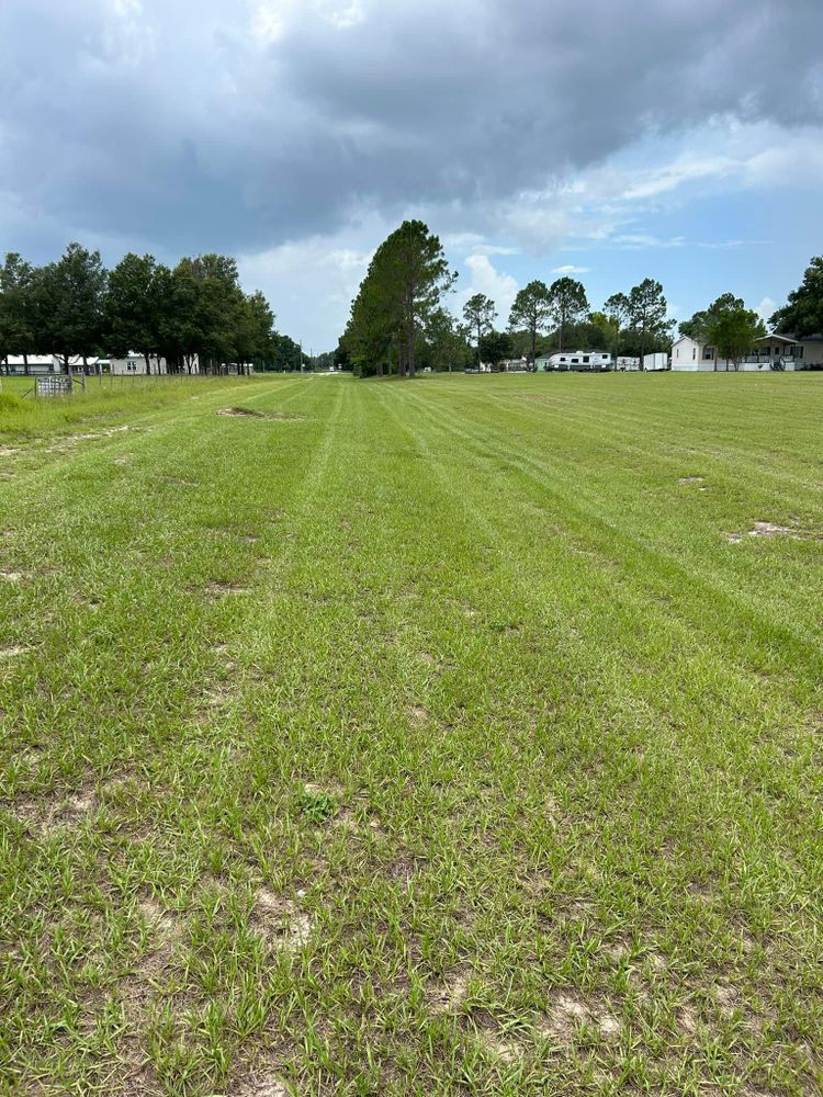 All Photos for Estrada All Pro Lawn Service in Auburndale, Florida