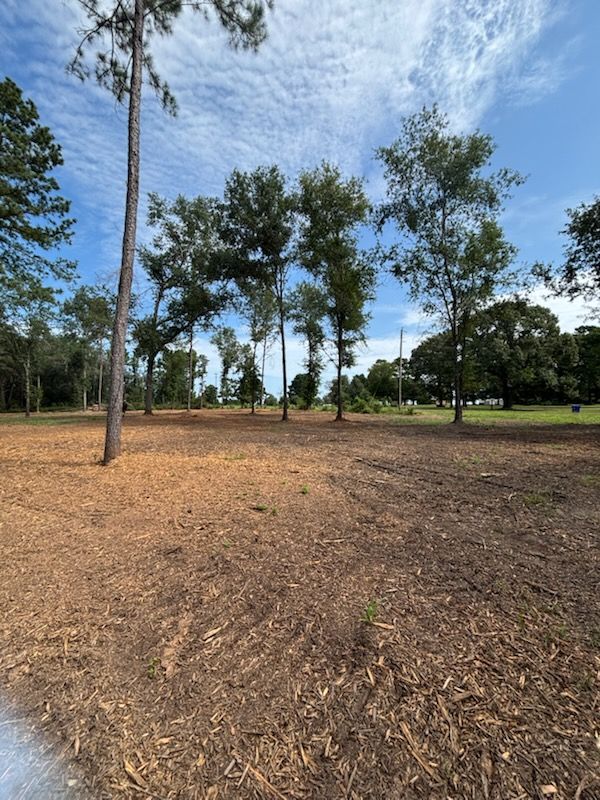 All Photos for JM Services in Woodville, TX