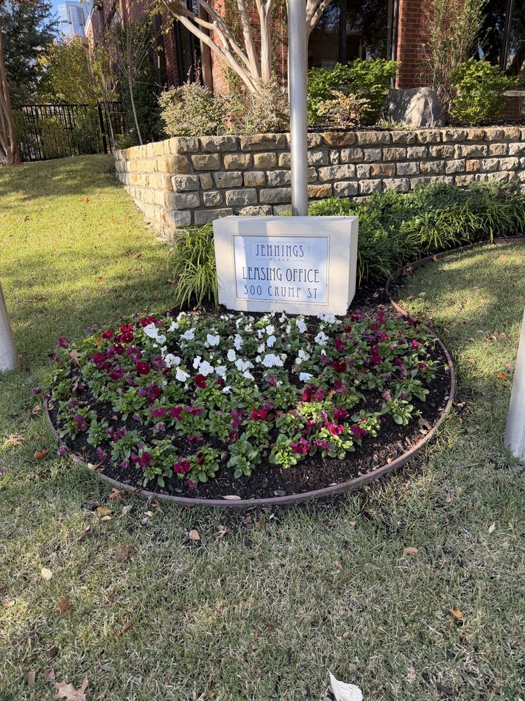 Fall flowers for Guerrero's Landscape in Fort Worth,  TX