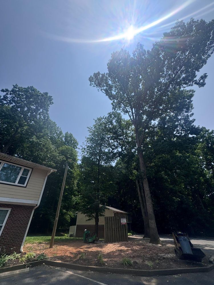 All Photos for Diversified Tree Company in Trinity, NC