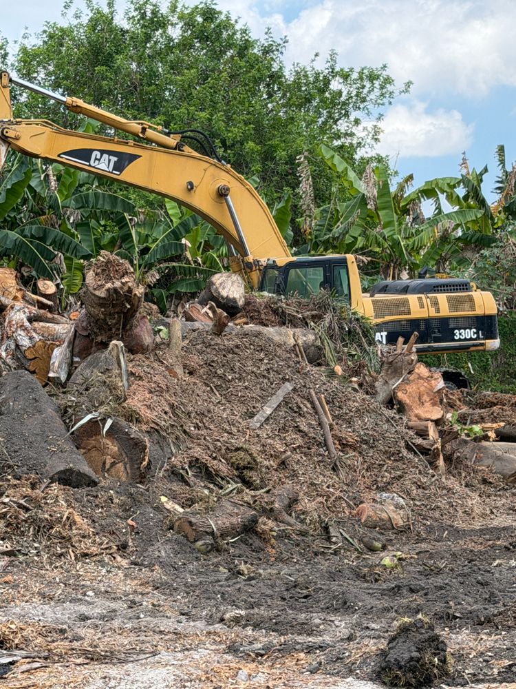 All Photos for Nurry Tree Services in Miami, FL