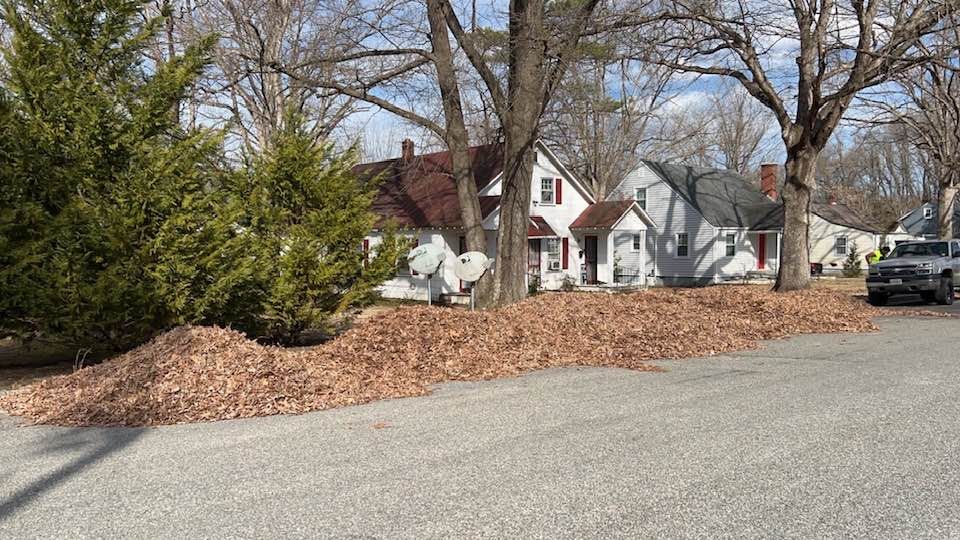 Our Fall Clean Up service ensures your yard is tidy and ready for winter, with leaf removal, debris clearing, and preparation to maintain a healthy landscape through the colder months. for Grayson’s Lawn Service in Crewe, VA