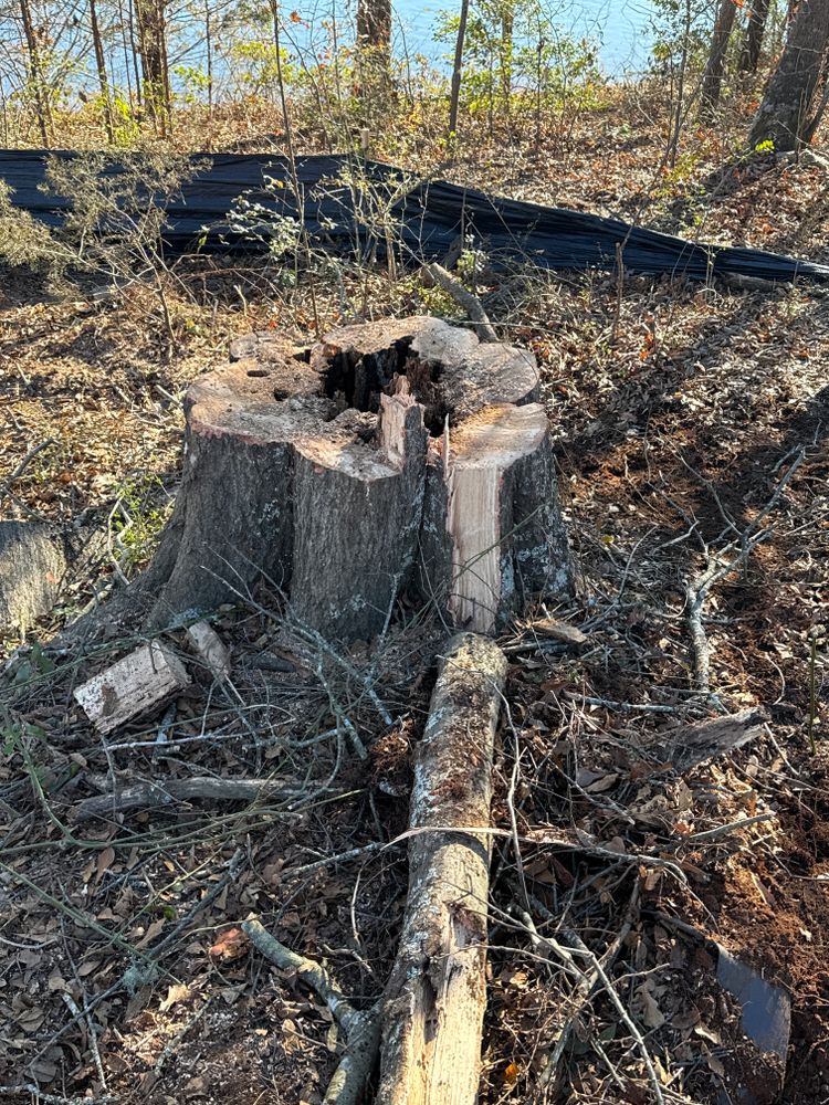 All Photos for Seay’s Septic in Inman, SC