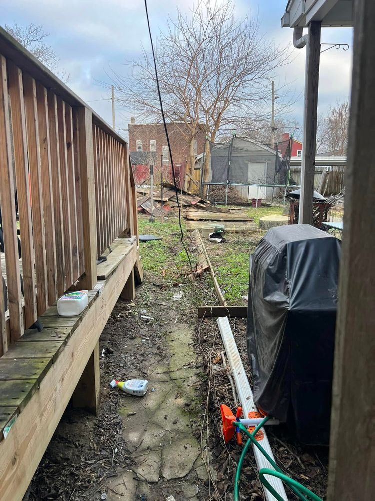 Tree Removal for La Fountain Tree Service in Louisville, KY