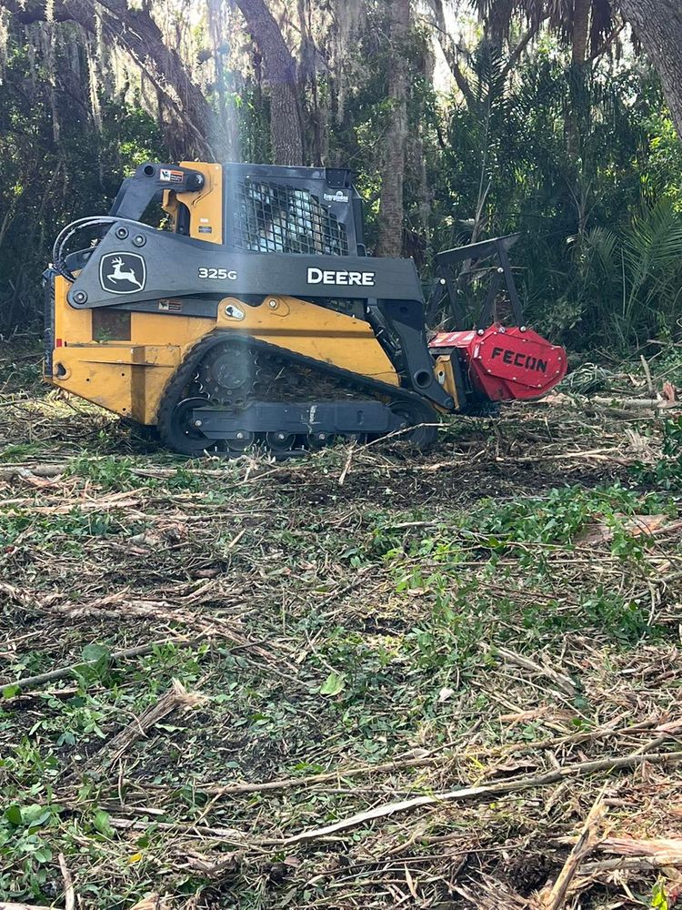 Tree Removal for TREE BOYS in Ruskin, FL