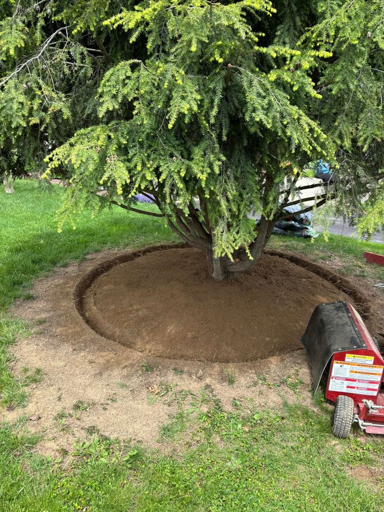 Projects  for Rigante LandWorx in Nazareth, PA