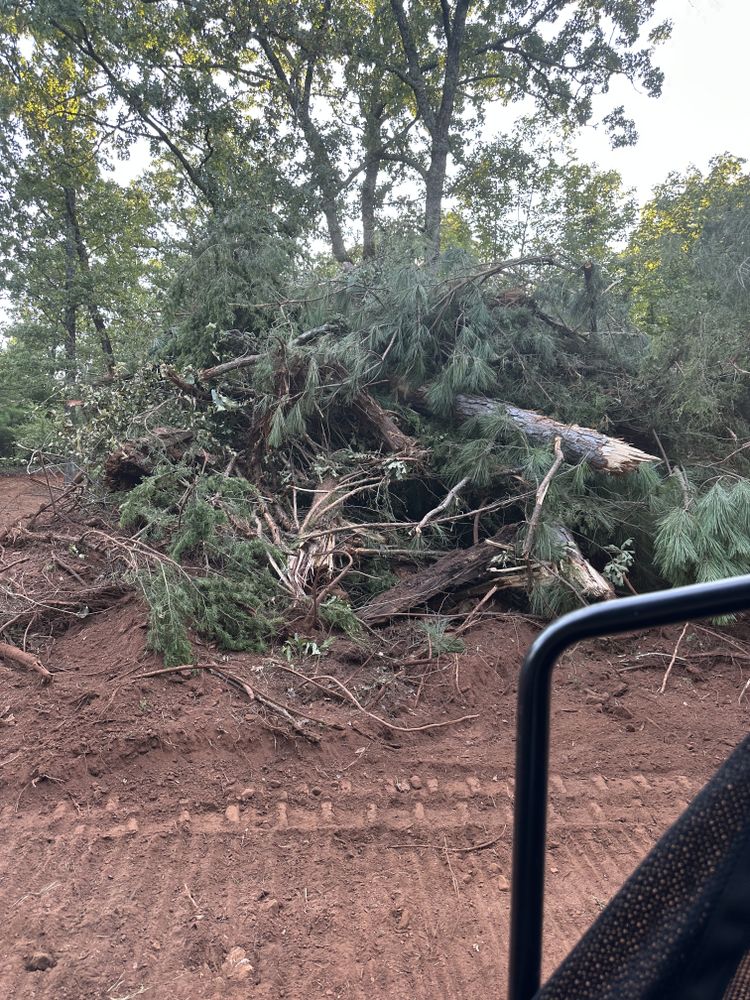Land Clearing for Tyler Sand Gravel And Excavation in Ben Wheeler, TX