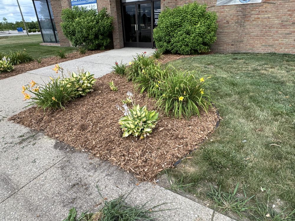 Landscaping Lawn Care for Daugherty's Tough Lawn Care in Essexville, MI