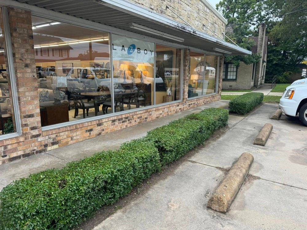 Enhance your landscape with our professional mulch installation service, providing optimal moisture retention, weed control, and soil improvement to ensure healthy growth for your trees and vibrant outdoor spaces. for Sanchez Odd Jobs in Carthage, TX