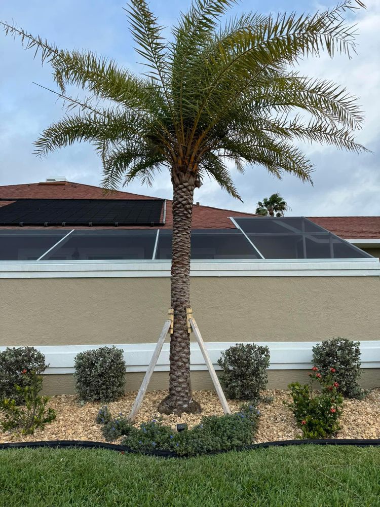 All Photos for Cunningham's Lawn & Landscaping LLC in Daytona Beach, Florida