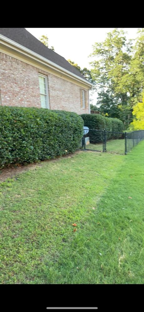 All Photos for WD Lawn Services in Loganville, GA