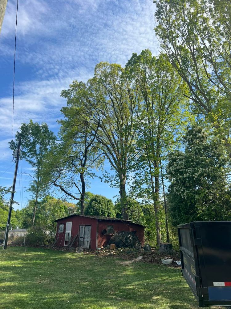 All Photos for Brooks Tree Service in Casar, NC