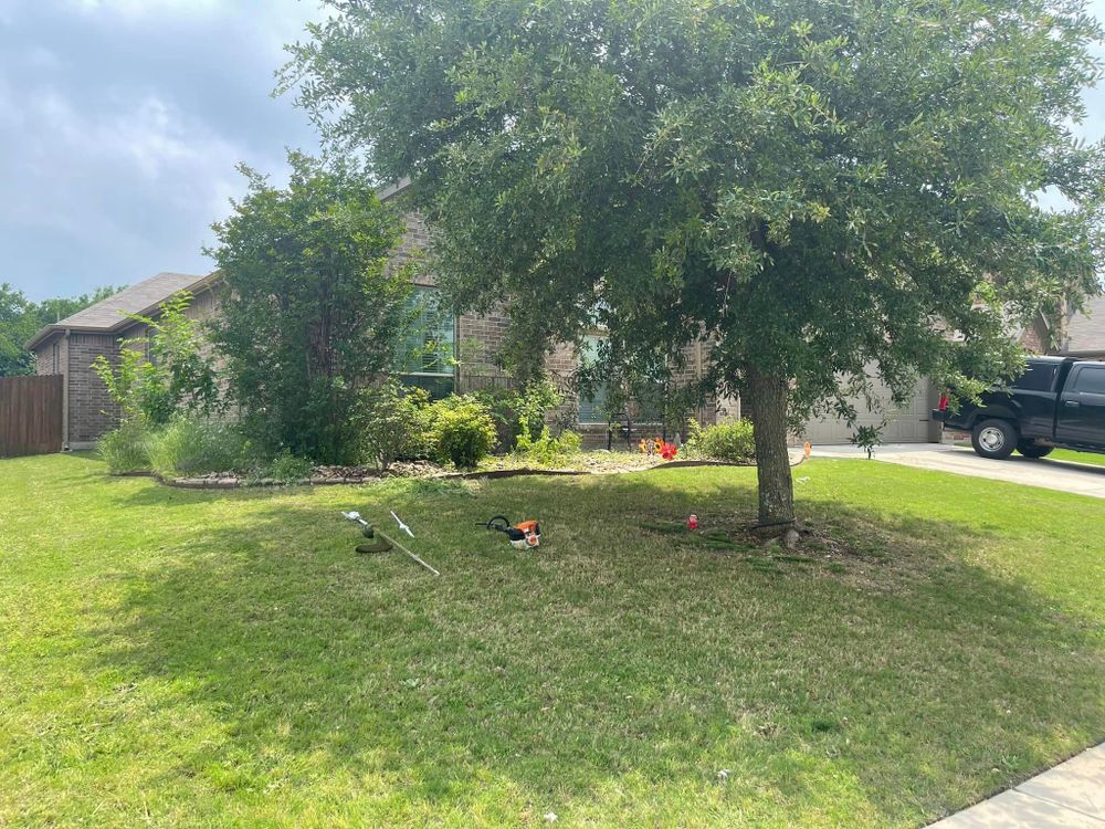 All Photos for Mora’s Lawn Services in Crowley,  TX