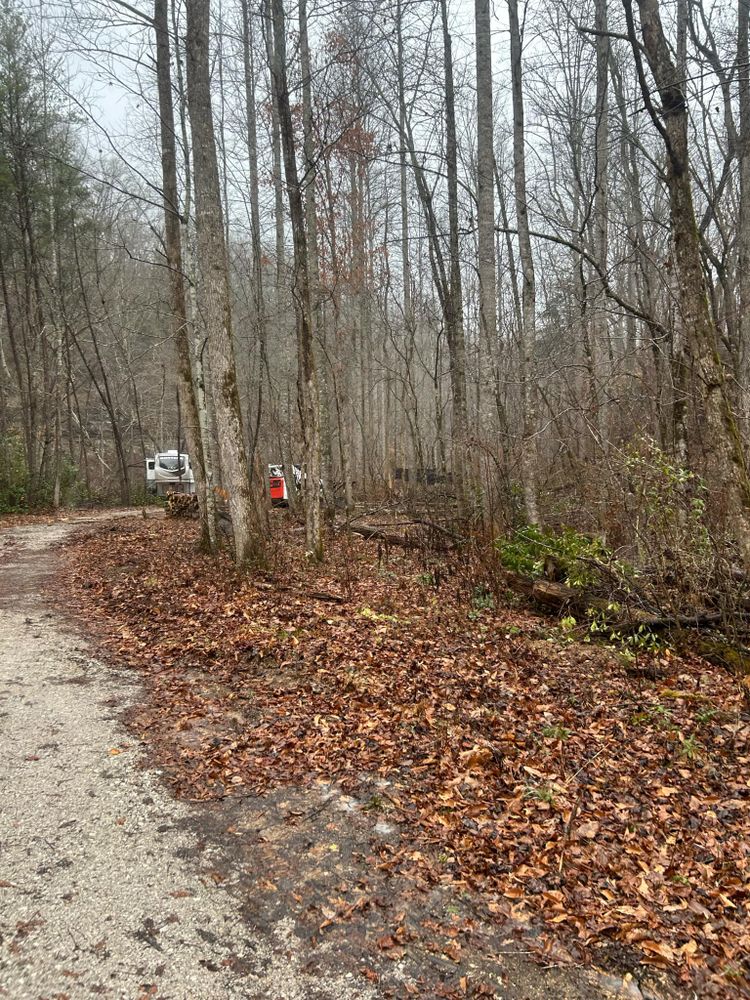 All Photos for Z's Land Management & Forestry Mulching in Smithville, TN