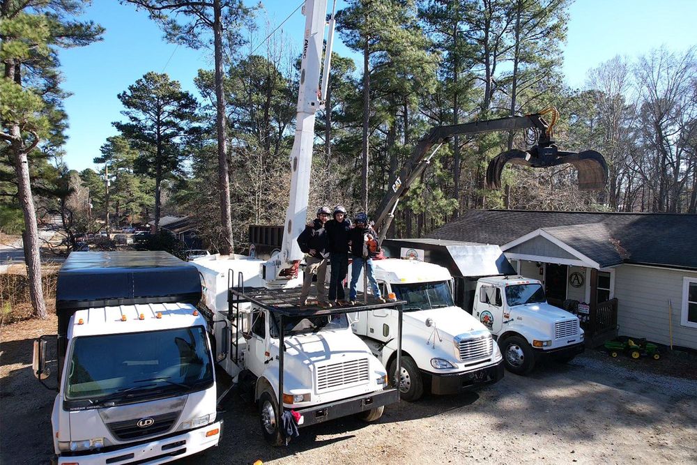 All Photos for AB Tree Service in Raleigh, NC