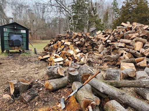 All Photos for Smith Tree Experts in Palmyra, VA