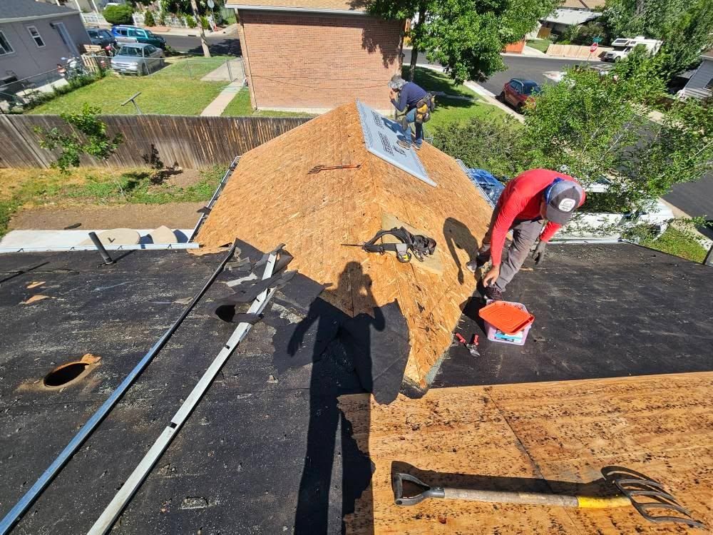 All Photos for Distinctive Home Renovations in Longmont, CO