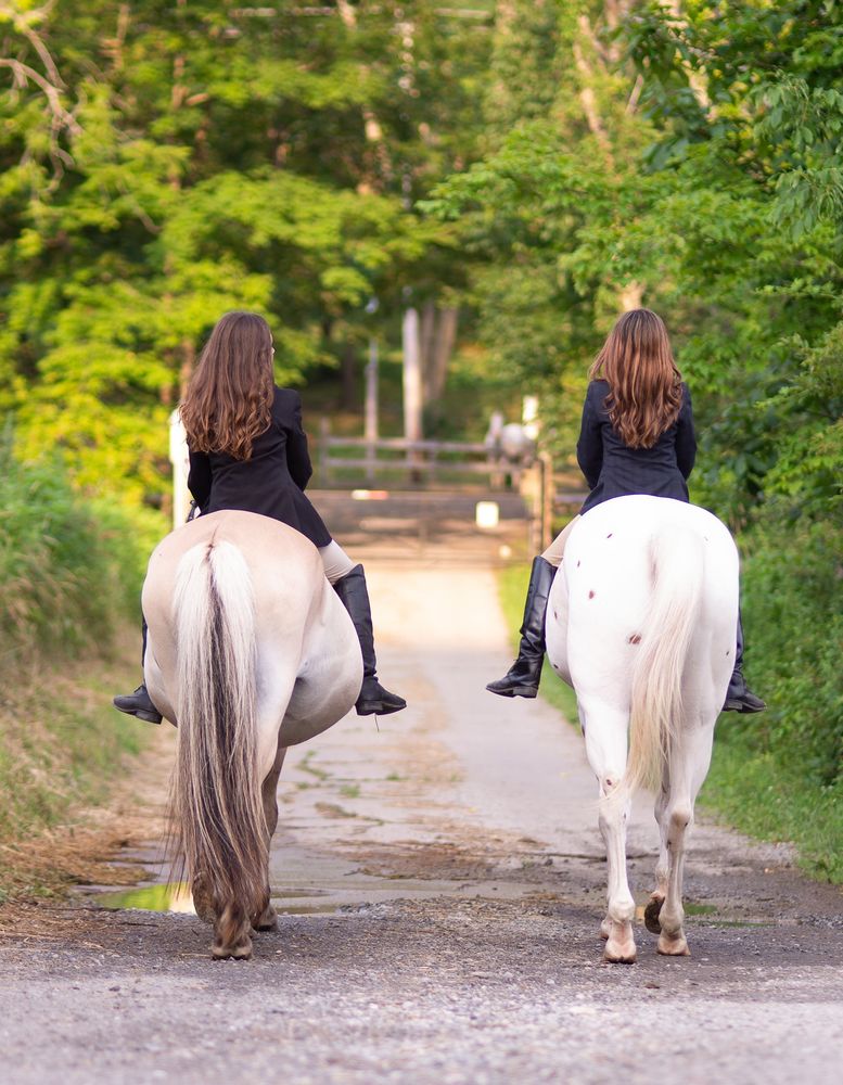 Lessons for Blue Stone Farm in Wantage, NJ