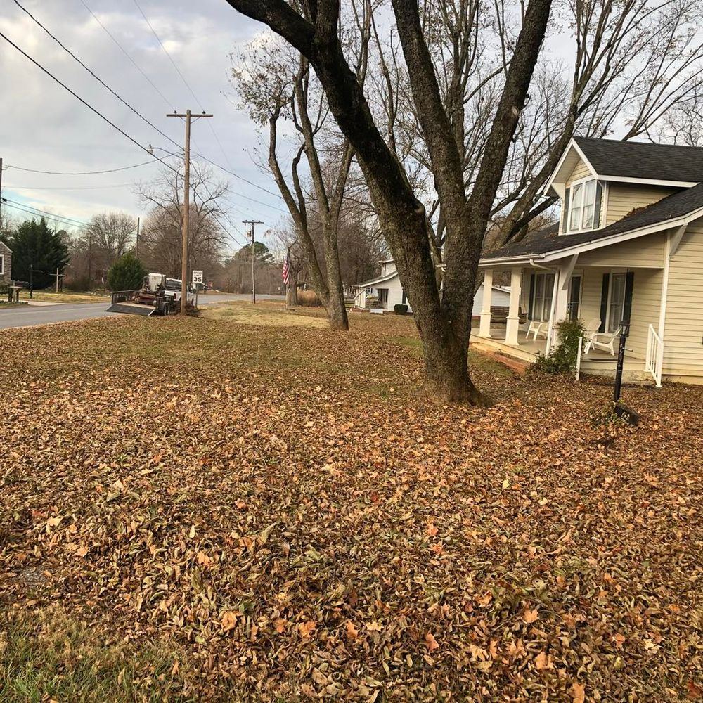 All Photos for El Perico Tree Service and Lawn Care, LLC in Boonville, North Carolina