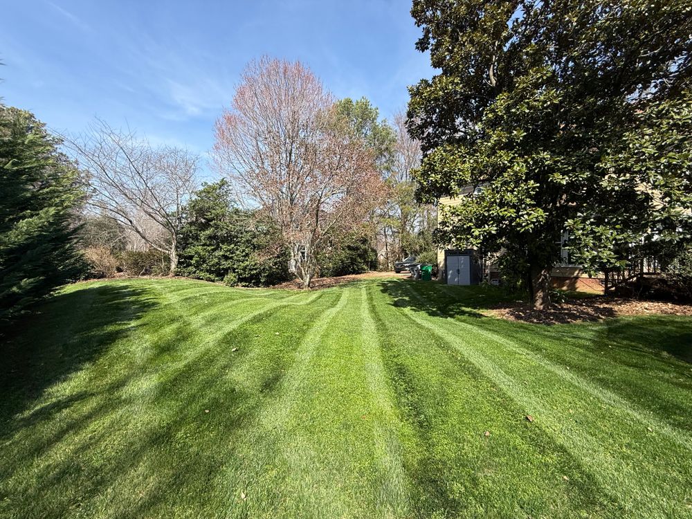 All Photos for Blue Sky Turf in Monroe, NC