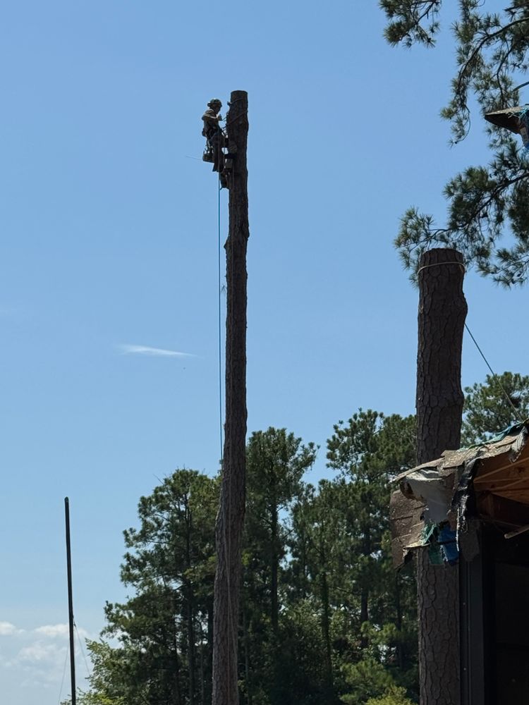 All Photos for Tucker's Tree Service and Stump Grinding in Lugoff, SC