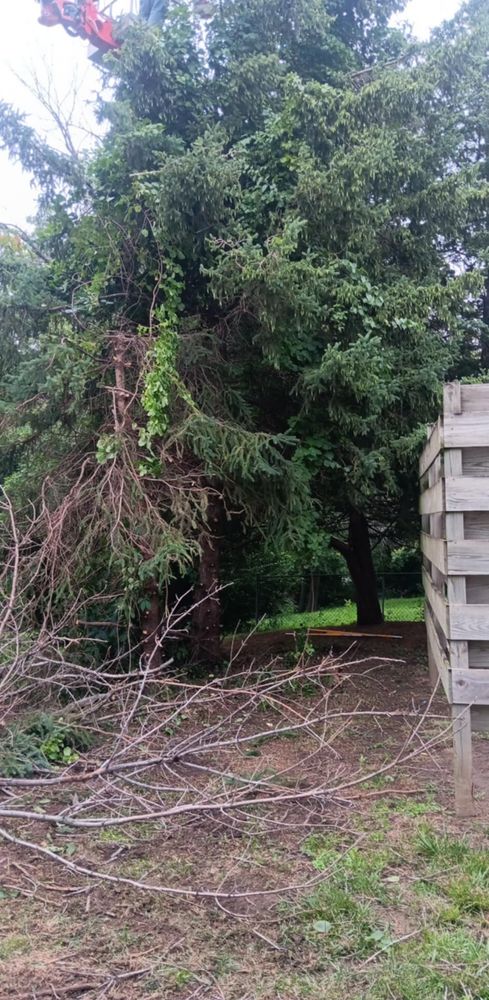 All Photos for Lawn Ranger Yard And Tree Service LLC in Ottumwa, IA