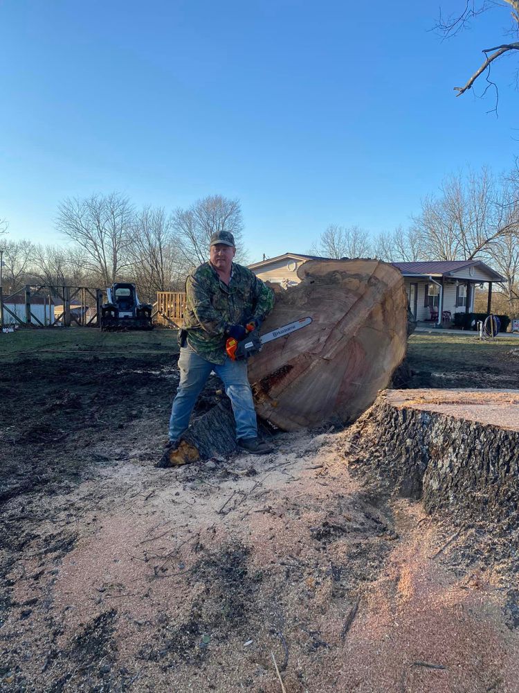 Tree Removal for Lance Tree Service in Tellico Plains ,  TN