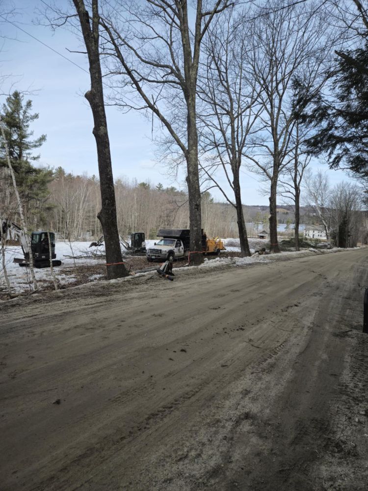 We specialize in controlled removal of any tree utilizing ropes and multiple techniques from ziplining to negative rigging using pulleys and other equipment to safely and controlled lowering and removal! We offer yard expansions, cutting trees, and removing debris to gain more yard space. for Abair Tree Service in Weare, NH