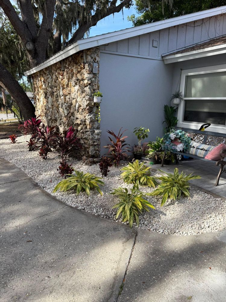 All Photos for Damian’s Tree Care in Sarasota, FL