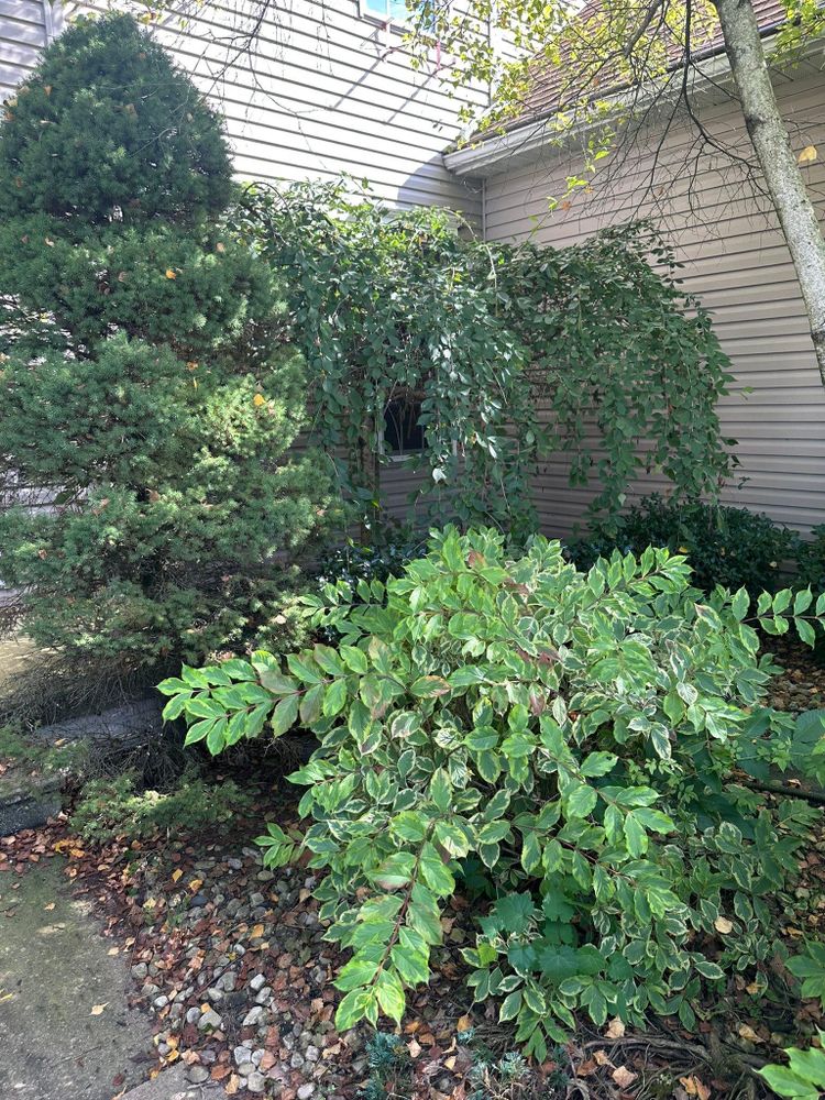 All Photos for OT Lawn and Landscaping LLC in Carey, OH