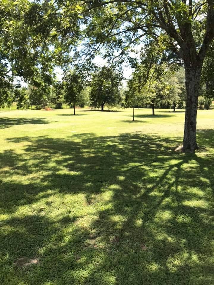 All Photos for Hunt’s Lawn Care in New Boston, TX