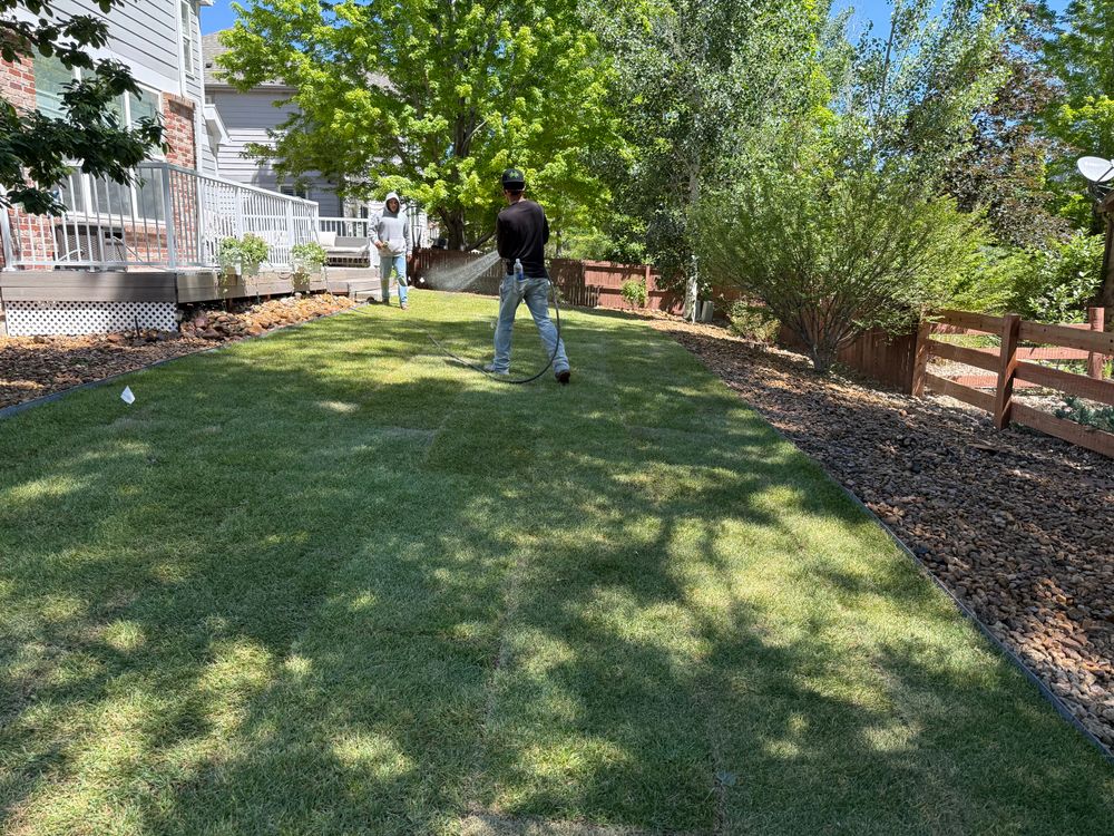 All Photos for Forever Green Turf Pros in Greeley, CO