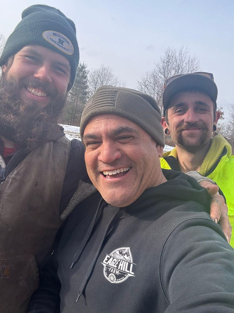 Tree Removal for Harley’s Tree Service in Palmer, MA