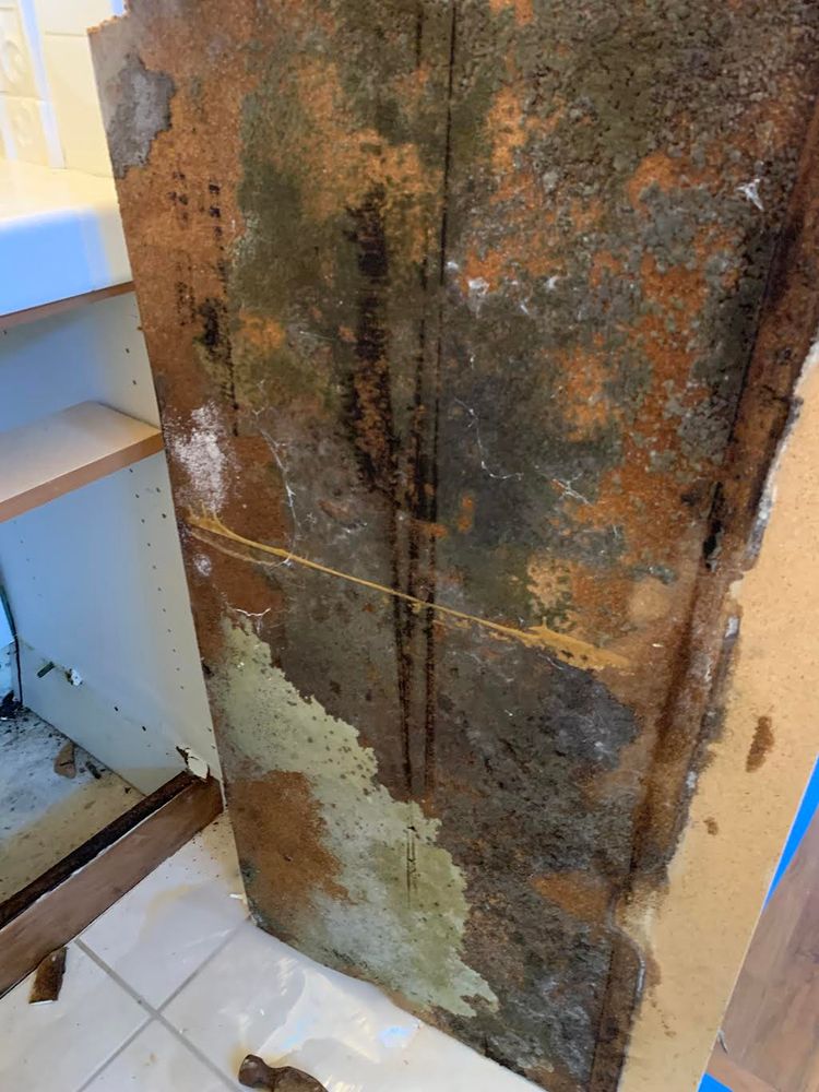 Our mold remediation service effectively removes harmful mold, restoring safe and healthy environments for your home by identifying, isolating, and treating affected areas with advanced techniques to prevent future occurrences. for NEWGEN Restoration in San Diego, CA