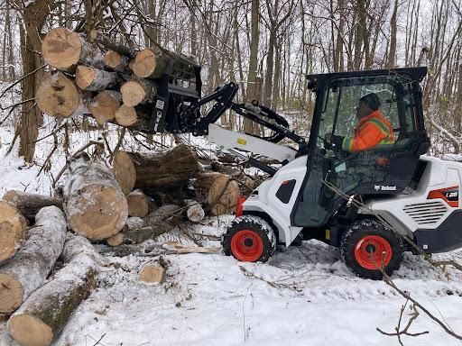 All Photos for Village Tree Service  in Whitestown, IN