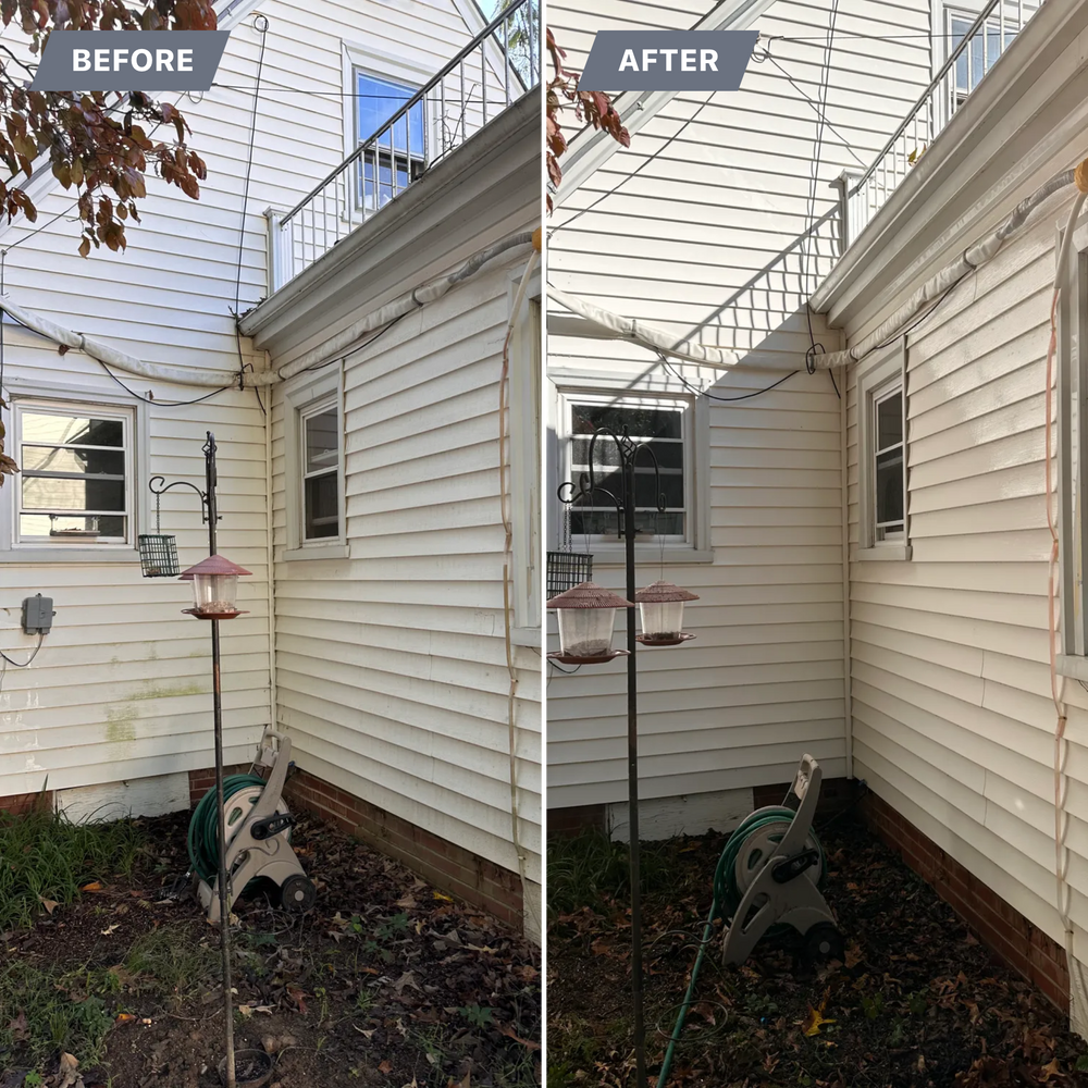 All Photos for LeafTide Solutions in Richmond, VA