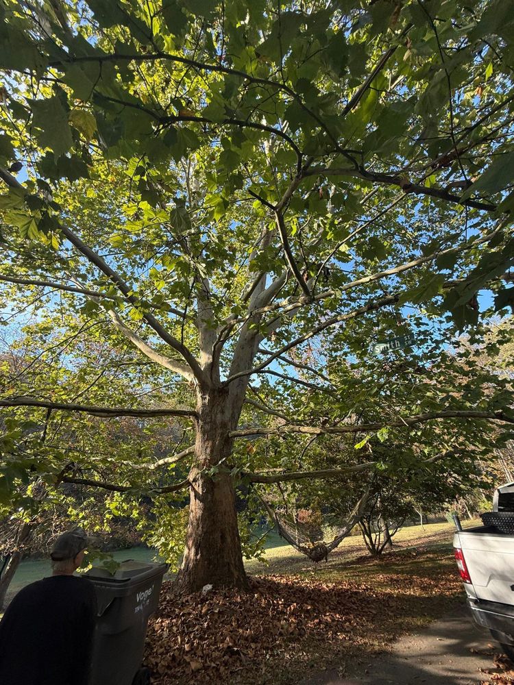 All Photos for Duff’s Lawncare in Butler, PA