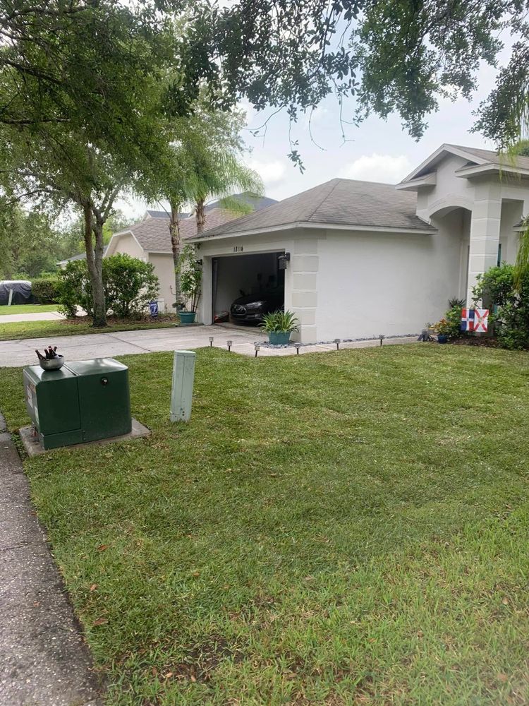 All Photos for Gulf Bay Sod in Clearwater, FL