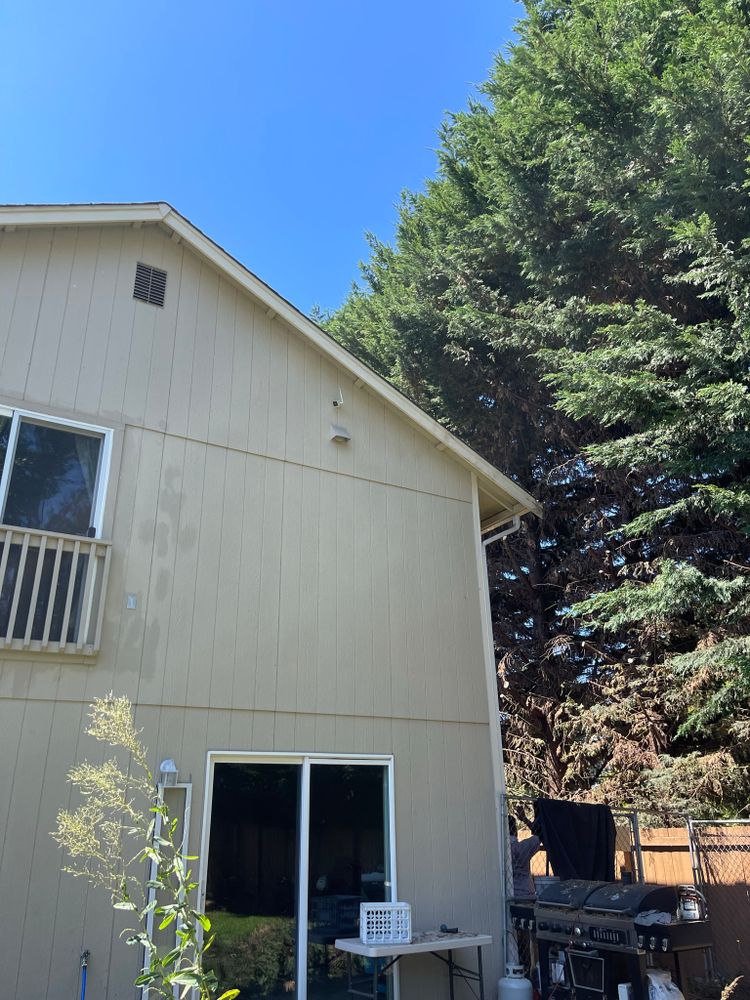 All Photos for Tony's Remodeling & Painting in Renton, WA