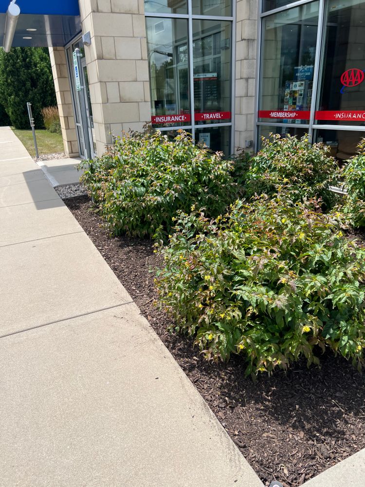 Landscaping for Trim Seasonal Services in Milwaukee, WI