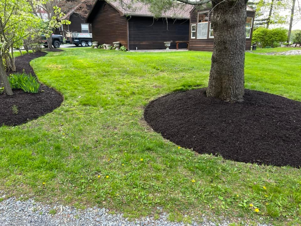 Lawn Care for Denicola’s Lawn Care in Oxbow,  NY