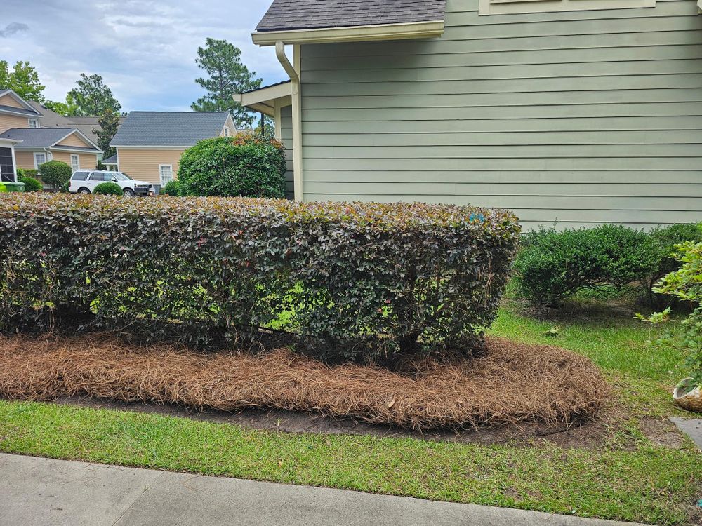 All Photos for 1 Man Does It Lawn Service in Blythewood, SC