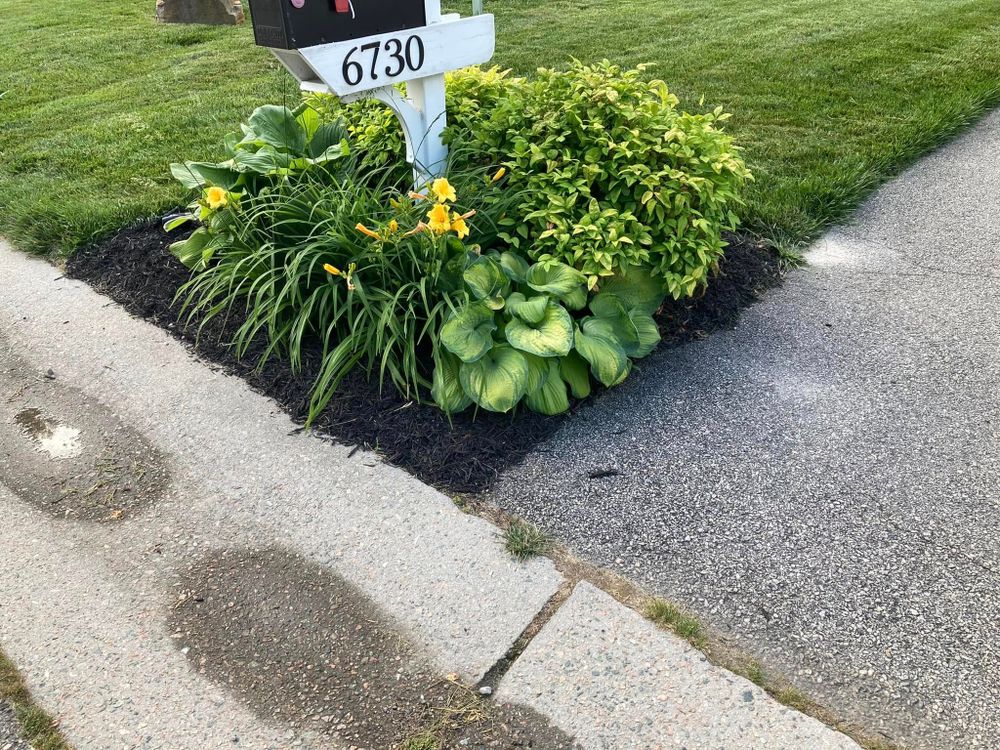 All Photos for Green Horizon Lawncare in North Chesterfield, VA